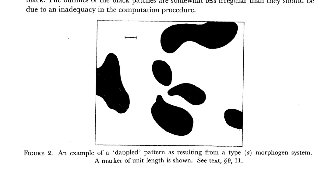 Primary-source scan of Figure 2 from Turing's 1952 morphogenesis paper, showing a dappled reaction-diffusion pattern and its printed caption.